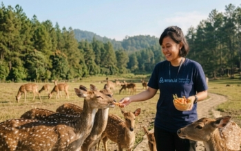 peserta open trip arrahid memberi makan rusa di ranca upas ciwidey bandung selatan wisata alam populer